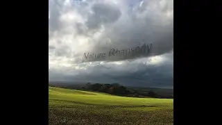 Genetical Interference - Fields, Clouds & Feels (Official Audio)