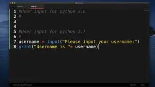 How to input a string from the user in Python 2 7 vs 3 6