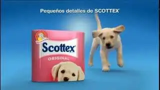 Scottex Espa&ntilde;a 2012 - Calidad que compensa