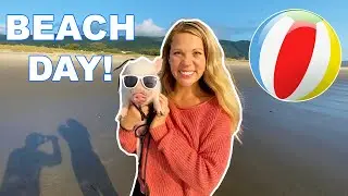 My Mini Pig Goes To The Beach For The First Time!