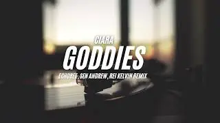 Ciara - Goddies ( Tech House Remix )