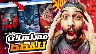 ممنوع دخول غير القطط ( مسلسلات للقطط بس )🐱🤣 اغرب 5 مواقع على جوجل هيخلوك تفتح بوقك