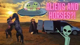 CRAZY Alien lights, WILD fighting horses, and a huckleberry beer review