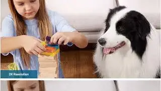 Top 5 Pet Cameras 2023 - Best Smart Pet Cameras 2023