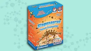 Science4you UK - Fossil Excavation Stegosaurus