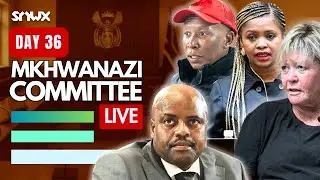 Julius Mkhwanazi testifies in Parliament