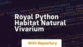 Royal python habitat natural vivarium