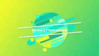 Camuflaje para cada ocasi&oacute;n Mirlo acu&aacute;tico (Cinclus cinclus )