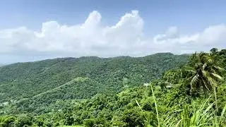 R&iacute;o Blanco, Naguabo, PR - Overlook