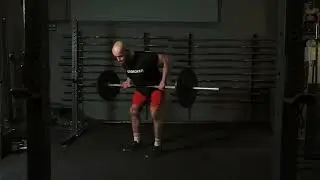 Barbell Underhand Supinated Row