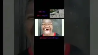 Lucu parah..!! Prenk buaya bikin ketawa ngakak..!!😂😂#shorts