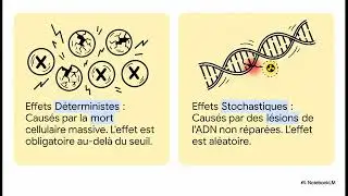 RADIOBIOLOGIE ET RADIOPROTECTION 