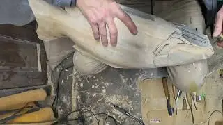 Carp head carving (subscribe!)#woodcarving #woodart #artist #fishing #carp #fish 