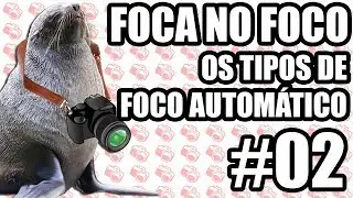 Foca no Foco #02: Os tipos de Foco Autom&aacute;tico