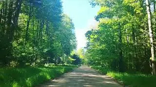 Everett Road, Gerrish Twp, MI