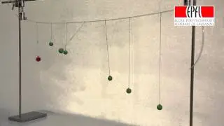 57 R&eacute;sonance m&eacute;canique avec pendules sur &eacute;lastique - Mechanical resonance with pendulums on elastic