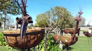 Metal crafted Emu Art garden art a Mob of Emus,  Emu sculpture