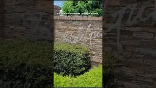 𝐁𝐥𝐮𝐞𝐠𝐮𝐦 𝐋𝐢𝐟𝐞𝐬𝐭𝐲𝐥𝐞 𝐑𝐞𝐬𝐨𝐫𝐭!