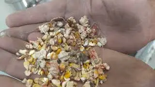 #irak #iraq #mısır #maize #taneleme #hulling #temizleme #cleaning #kurutma #dryer #tesis #line 🌽🌽 6