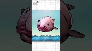 Why Blobfish Looks So Weird?