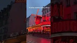 Изучай французский с нами и создай жизнь своей мечты 🤍 записывайся на курсы в Art de vie #france