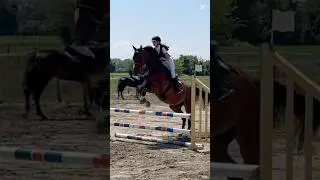 In questi giorni metter&ograve; dei video vecchi perch&eacute; non sto montando💙🥰:: #horse #noflop 🐴