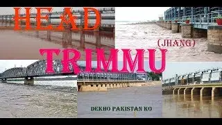 Head Trimmu 18 Hazari Zila Jhang Pakistan Latest Video 2109