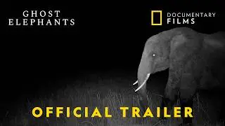 Ghost Elephants | Official Trailer | National Geographic Documentary Films