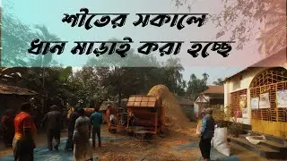 শীতের সকালে ধান মাড়াই করা হচ্ছে।। কৃষকের জীবন।। হাড় ভাঙ্গা পরিশ্রম।। গ্রামীণ জন জীবন।।