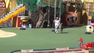 PETS RULE SHOW SEAWORLD SAN DIEGO 2013