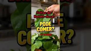Folhas de Batata-Doce #pancs  #alimentacaosaudavel #batatadoce
