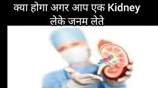 What If You Have Single Kidney||Single Kidney Life Style||Diet For People With Single Kidney||