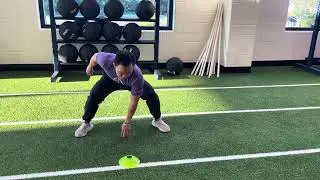 Ping Pong Agility
