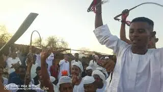 جديد محمد نايل