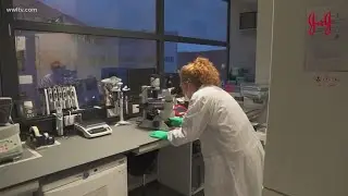 Coronavirus vaccine faces ethical questions due to fetal tissue used in development