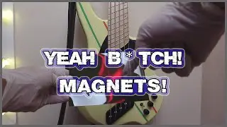 Magnetic Flux Viewing Film