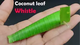 How to make Coconut leaf whistle (Kids will love this) - Coconut(palm) leaf crafts.
