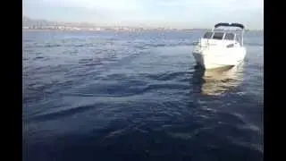 drago boat sunday 5.45 - suzuki df 50