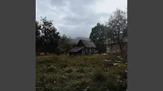 where am i