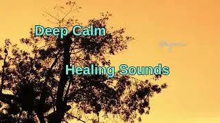 Gentle Guitar Music for Quiet Reflection & Calm | Instrumental Relaxation | 13 Minutes