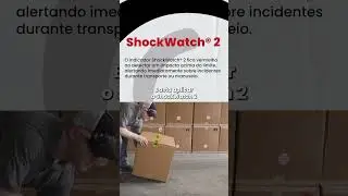 ShockWatch 2