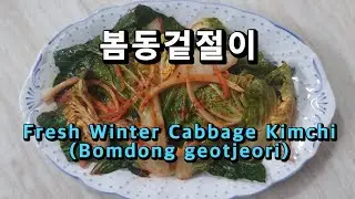 봄동겉절이 만들기 봄동 겉절이무침 양념 레시피 (Korean food cooking : Fresh Winter Cabbage Kimchi / Bomdong geotjeori)