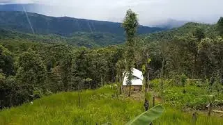 village life #village #field #tribals