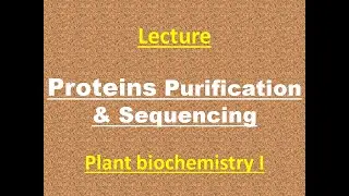 What is Protein purification & sequencing #proteinspurification #sequencing
