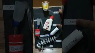 Digestive system working model science project