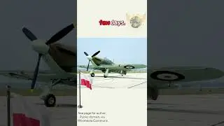 Как польские пилоты стали легендами Королевских ВВС