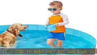 Toozey Dog Pool, 63
