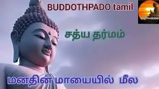 மனதின் மாயையில்...17 ( buddothpado tamil )   சத்ய தர்மம்   #buddha #tamil #buddhisam #budhist