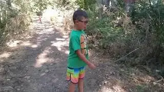 Nature Walk at the Star River Walk!