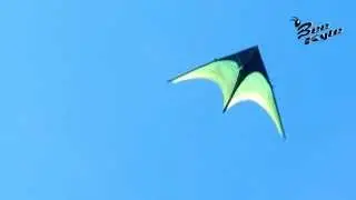 Bee Kite Fast - Delta Single Line Kite 270 x 140 cm